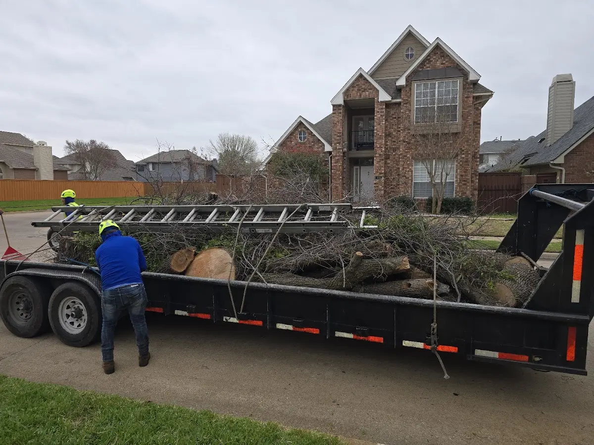 Expert Tree Fertilization with proper safety equipment in Pittsford
